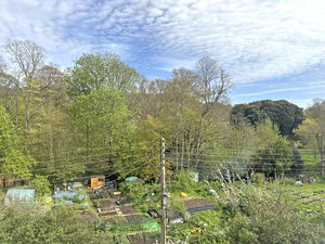 Photo 3- click for photo gallery